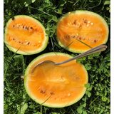 BIO lubenica Solopoly | Shoptok.si