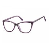 Berkeley Naočare CP115D | ePonuda.com
