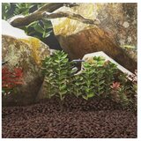 vidaXL Vulkanski kamen 25 kg rdeč 5-8 mm | Shoptok.si