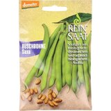 ReinSaat Grmičast fižol '' Saxa '' Cene
