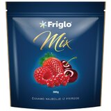 FRIGLO voćni mix 300g | ePonuda.com