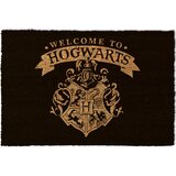 HARRY POTTER Welcome to Hogwarts predpražnik 37 x 55 cm Pyramid | Shoptok.si