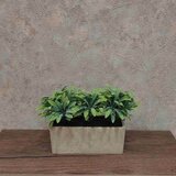 Dekordom cvet u saksiji - planter YZY0709 - N38 | ePonuda.com