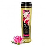 Shunga Masažno olje Amour | Shoptok.si