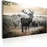  Slika - Dangerous Horns 120x80 | shoptok.hr
