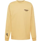 Carhartt WIP Majica 'Ducks' toplo smeđa / svijetloplava / smeđa / zelena
