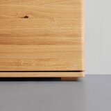 Premium Living Vitrina Valera, Divji Hrast | Shoptok.si
