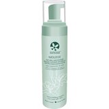Suncoat natural styling mousse Cene