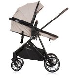 Chipolino kolica Aura Macadamia | shoptok.hr