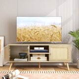 Pohištvo TV omarica iz ratana, dim.120 x 40 x 48,5 cm | Shoptok.si
