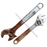 Smania Sredstvo za uklanjanje rđe Remove Rust | ePonuda.com