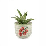 Sass & Belle Porcelanast ročno poslikan okrasni cvetlični lonec ø 12 cm Tomato – | Shoptok.si