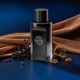 BANDERAS The Icon The Perfume toaletna voda za moške 200 ml | Shoptok.si
