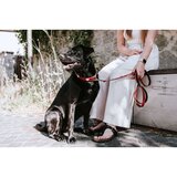 Povodac za pse Hunter Crvena 2 m Podesivo | shoptok.hr