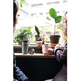 Stanley Svijetlo ružičasta termo šalica 600 ml Café-To-Go – | shoptok.hr