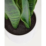 Kave Home Umetna rastlina (višina 55 cm) Sansevieria – | Shoptok.si