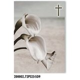  Voščilnica klasika kl 200002ps25-so9 PROMOCIJA | Shoptok.si