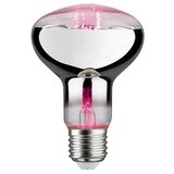 PAULMANN LED sijalka Grow Green (E27,6,5 W, R80, 200 lm) Cene