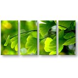  Slike na platnu biljke | ePonuda.com