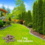  Tablete za Prihranu Četinara - 1kg Cene