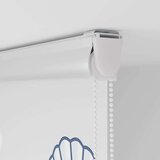 vidaXL rolo zavesa za prho s kaseto 70x240 cm širina tkanine 66 cm | Shoptok.si