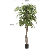 Kave Home Umetni fikus (višina 180 cm) Ficus – | Shoptok.si