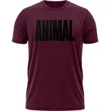 T-shirt Animal Maroon - Universal Nutrition XL