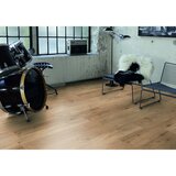 Kaindl laminat masterfloor standard oak beachlin 8 mm K2143 av V4 32 | shoptok.hr