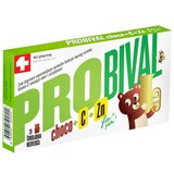 Probival Choco + c + zn čokoladni medvedići A20 | ePonuda.com