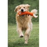 Paws &amp; Whiskers Havhav 1040 OrangeWhite Dog Toy | Eponuda.com