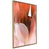  Poster - Tulip Petals 30x45 Cijene
