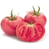 Paradajz pink