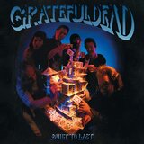 Grateful Dead Built To Last Cene