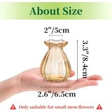 HEWORY 6x mini steklena vaza za rože, večbarvna | Shoptok.si