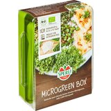 BIO Microgreen Box, komplet za gojenje | Shoptok.si