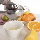 Orion Metalna preša za citruse – | shoptok.hr
