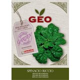 Bavicchi Bio špinača "Bloomsdale" | Shoptok.si
