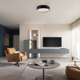 SCHÖNER WOHNEN 14593-18 -LED prigušiva stropno svetlo TAVOLI LED/10W/230V crna + daljinski upravljač | Eponuda.com