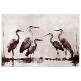  Plakat - Herons Painted in Ink 90x60 Bez okvira | shoptok.hr