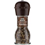 Kotanyi Kotányi dodatak za kavu chai moment 63g | shoptok.hr