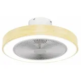 stropni ventilator s LED rasvjetom HaloFlow 06-30179