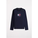 Tommy Hilfiger Majice z dolgimi rokavi LINEAR FLAG GRAPHIC LS T Modra Cene