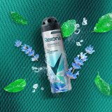 Rexona men antiperspirant u spreju menta i lavanda 150ml Slike