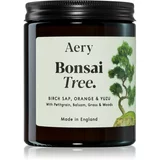 Aery Botanical Bonsai Tree dišeča sveča 140 g