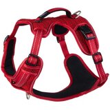 Rogz explore fanbelt am za pse l, crveni | ePonuda.com