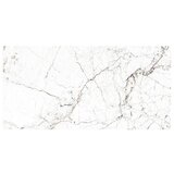  Porculanska pločica Windsor Burgundy (60 x 120 cm, Bijela, Mat) | shoptok.hr