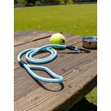 Sinsay Povodac za kućne ljubimce | shoptok.hr