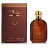 Parfem For Men Oud 100 ml parfumska voda za moške Cene