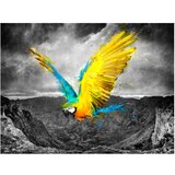  Tapeta - Exotic parrot 300x231 | shoptok.hr