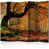  Paravan u 5 dijelova - Autumn forest and leaves II [Room Dividers] 225x172 Cijene